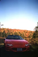 Foliage in New England - Fall 1999
